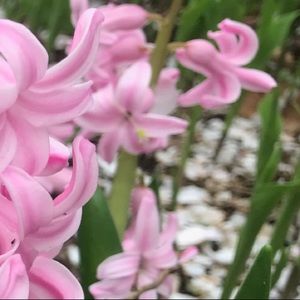 🌟ACCEPTING ALMOST ALL REASONABLE OFFERS 💛